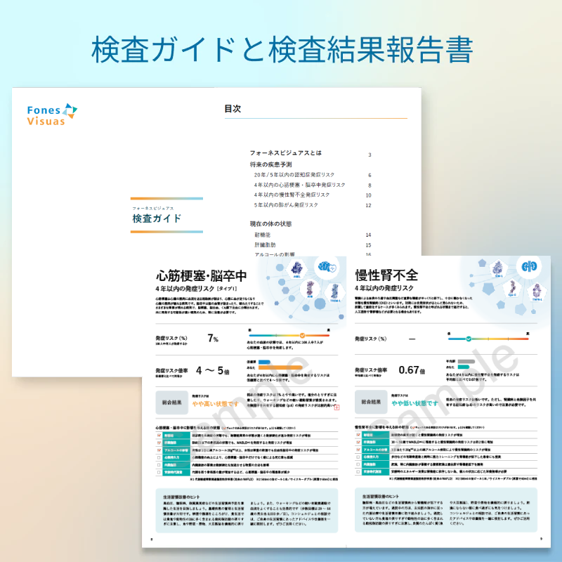 フォーネスビジュアスBiz 心筋梗塞・脳卒中/肺がん/慢性腎不全リスク予測セット